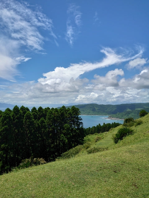 GW及び相馬野馬追期間中営業時間/EC発送に関するご案内